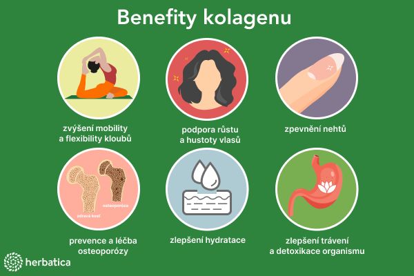 benefity kolagenu 